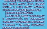 2026-05-26_16-48-26